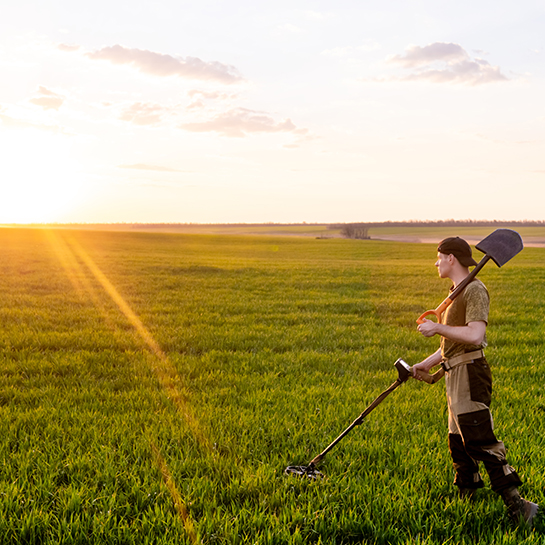 Field or Treasure?